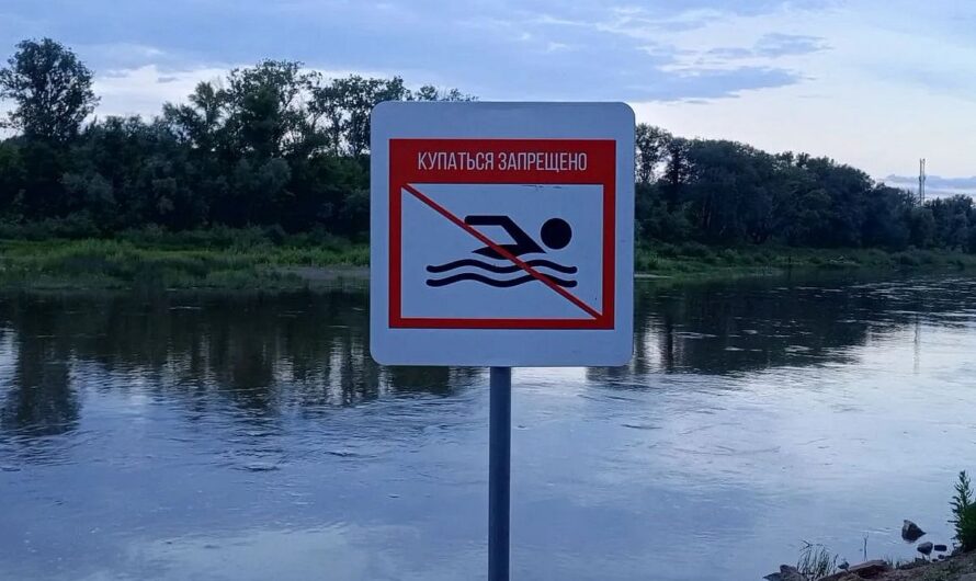 В Сакмарском районе утонул ребенок, троих детей спасли