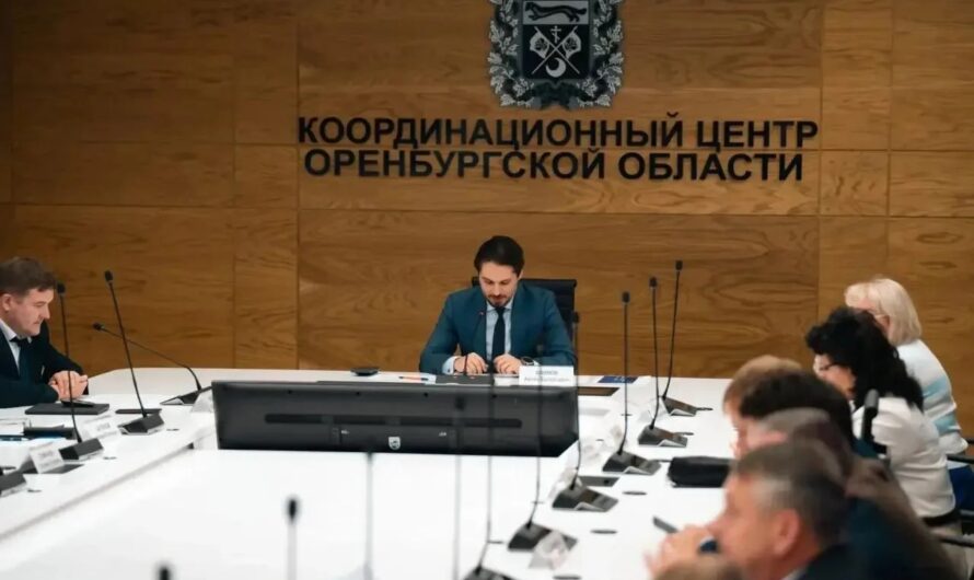 Цифровой профиль пациента и умные счетчики: Оренбуржье расширит применение нейросетей